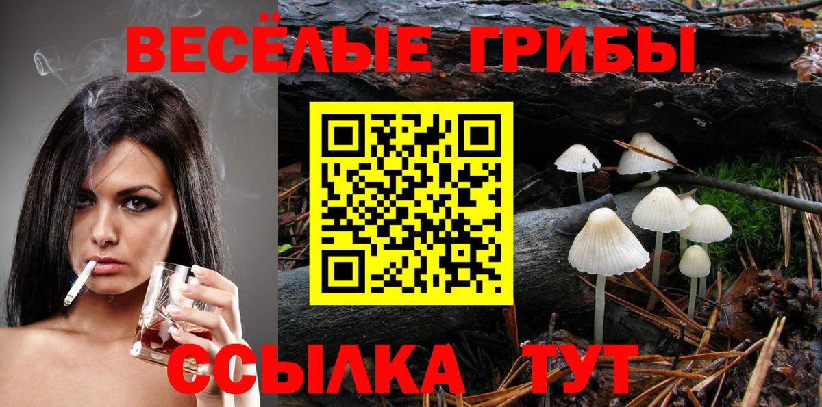 Псилоцибиновые грибы ЛСД  Вход с VPN  Псилоцибиновые грибы мицелий  Волжск 